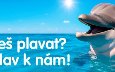 Nábor nových plavců