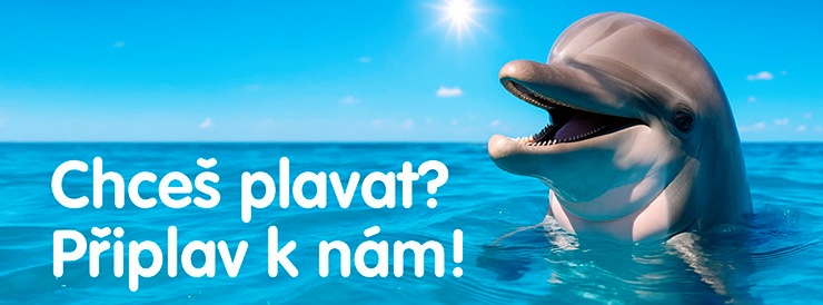 Nábor nových plavců